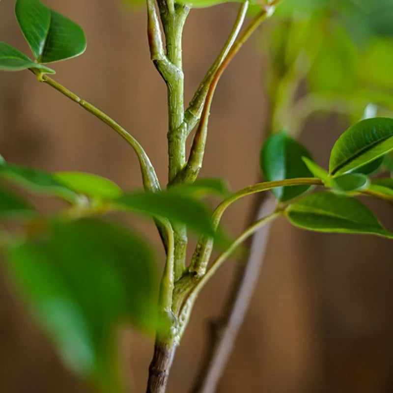 Artificial Tropical Ficus Branch